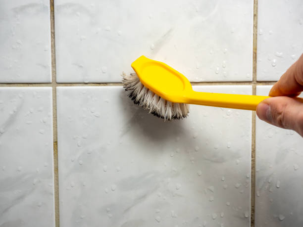 Best Certified Mold Removal  in Myrtle Point, OR