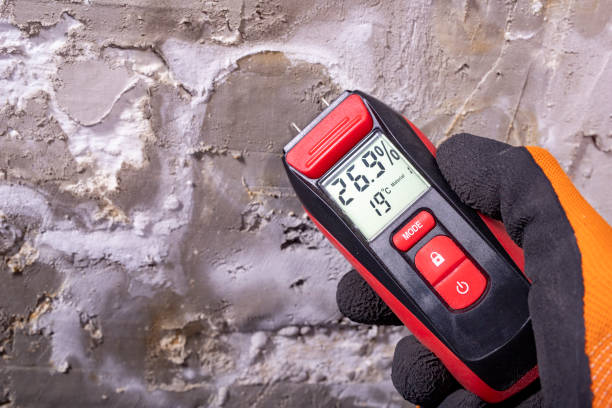 Best Mold Testing  in Myrtle Point, OR